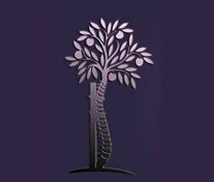 Slider image (1) Istanbul Orthopeadia Group